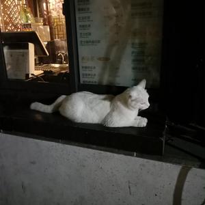 黄猛兽乱伦动漫国产
